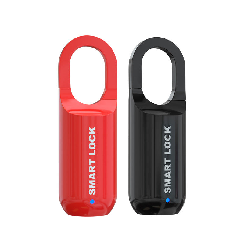 Pocket Lock™ Mini Fingerprint Lock